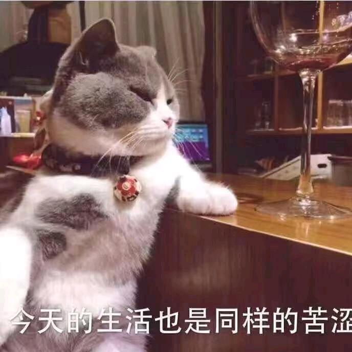心若想依