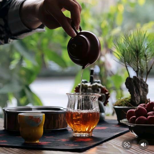 清溪茗舍