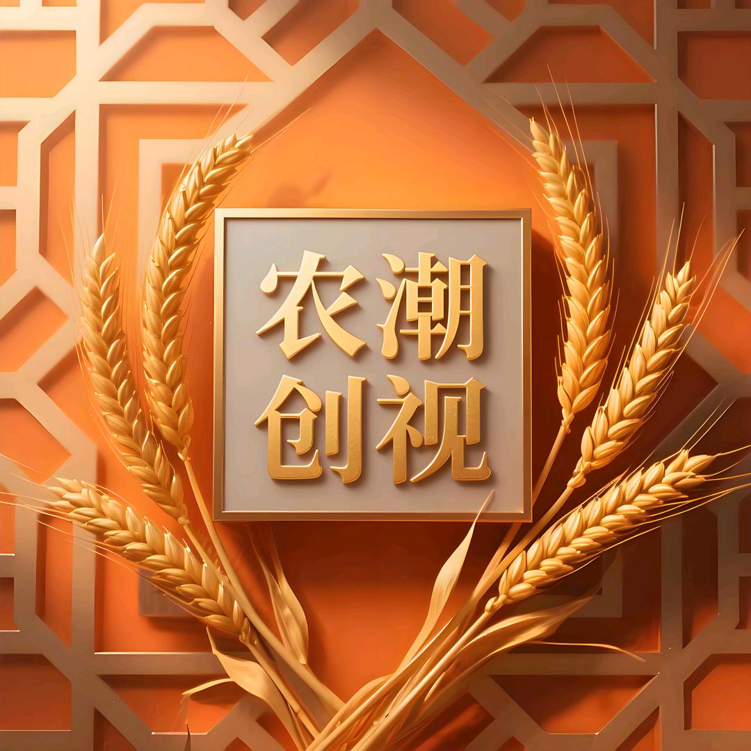 农潮创视
