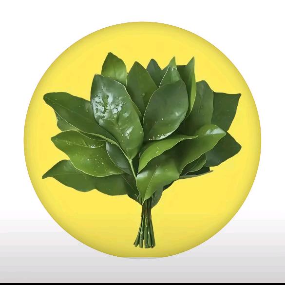 姊宝妍    晨光向暖