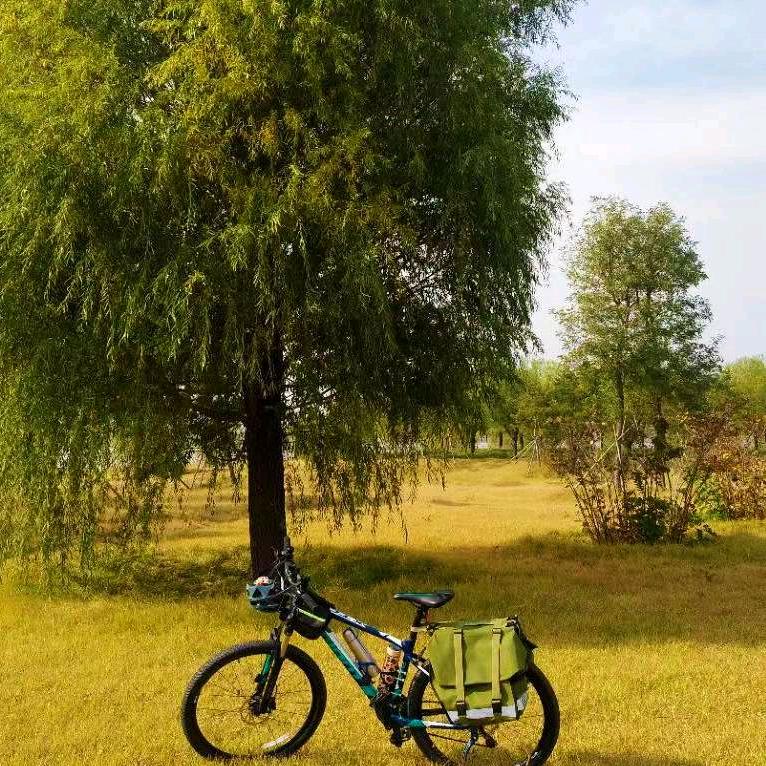 骑游地球流浪三轮