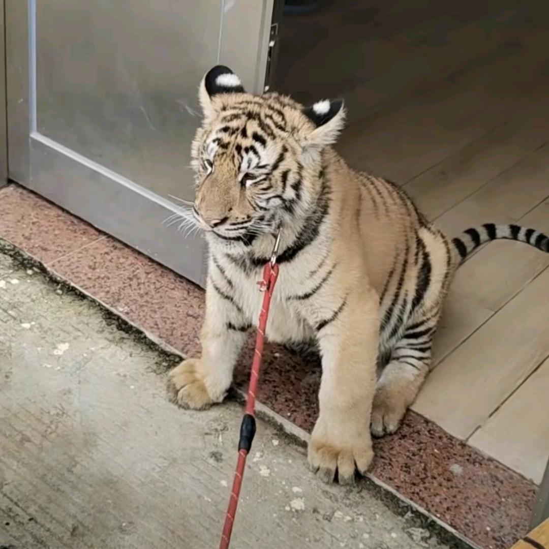名字不重要看视频