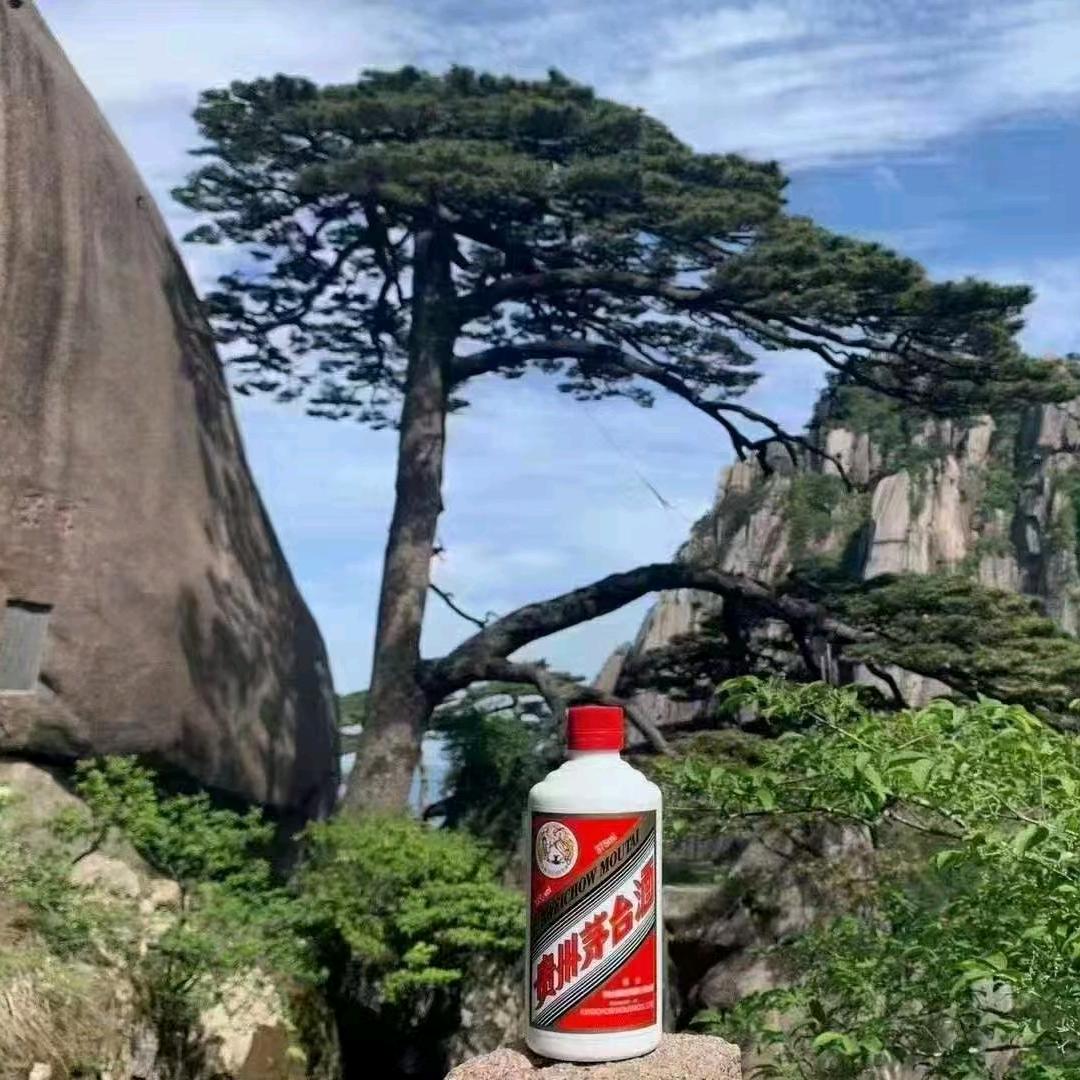 檀茂