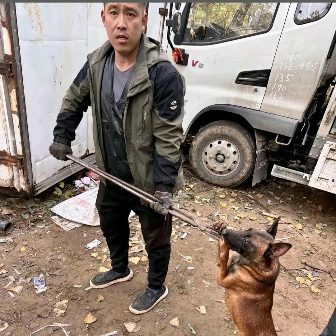 Aaa湖北套狗王（全国可飞）舔狗免费