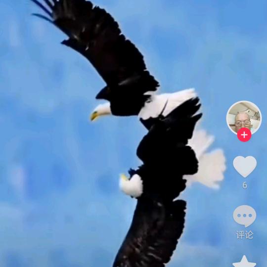 清晨微风