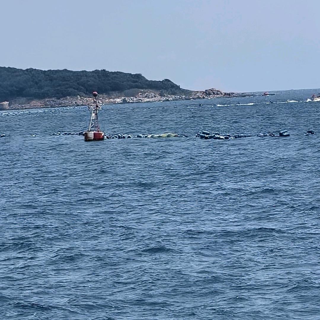 左各庄幸福树家电