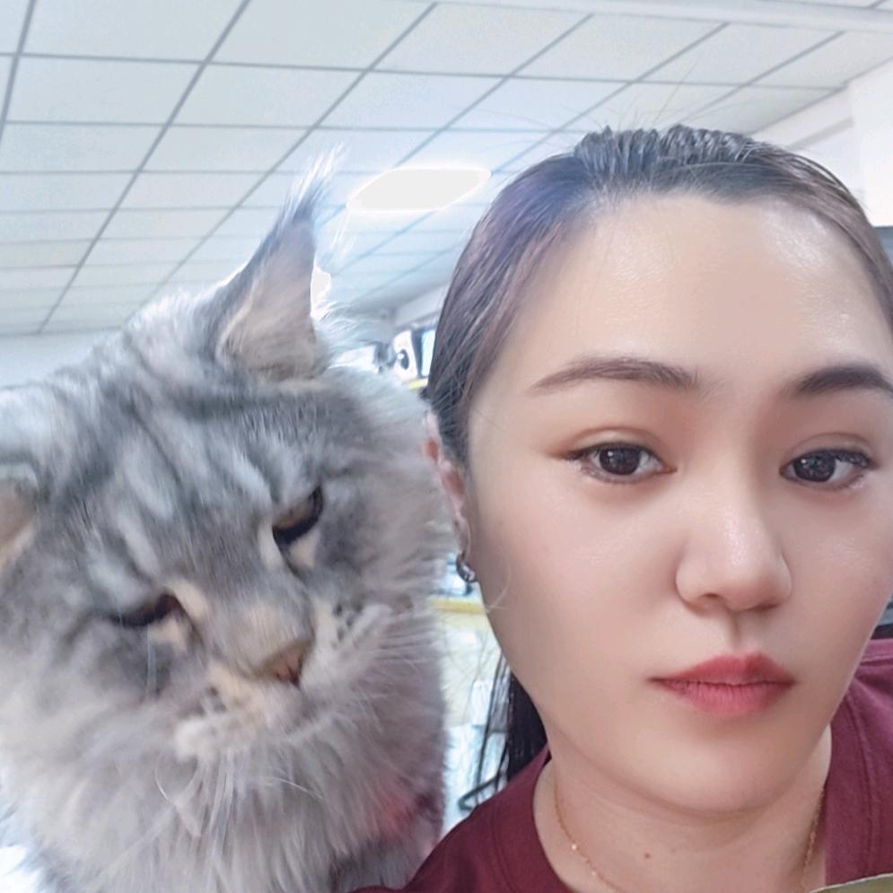 大喵是只猫😺