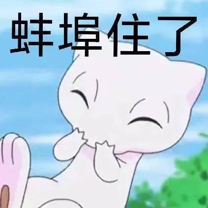 闪光耙耳朵