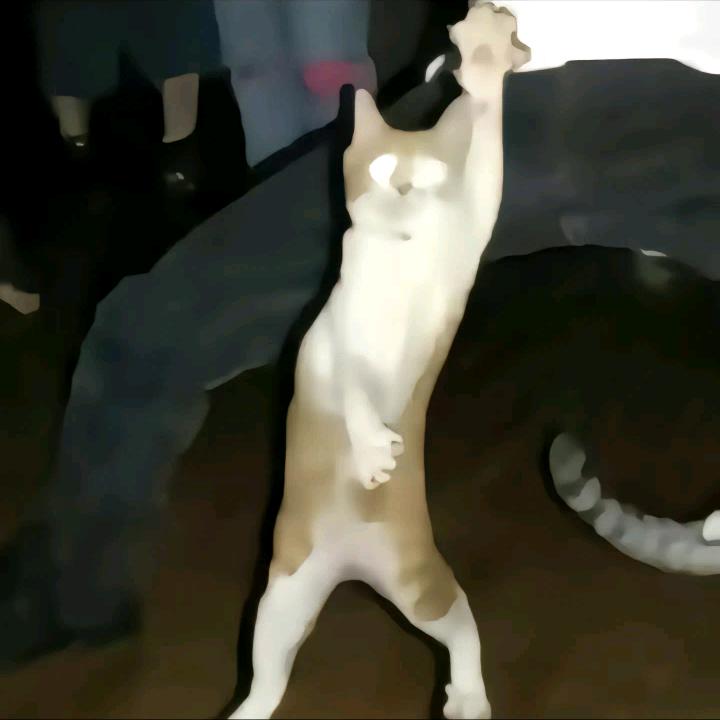 dancing哈基米