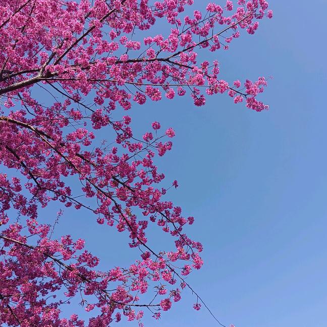 自在余生