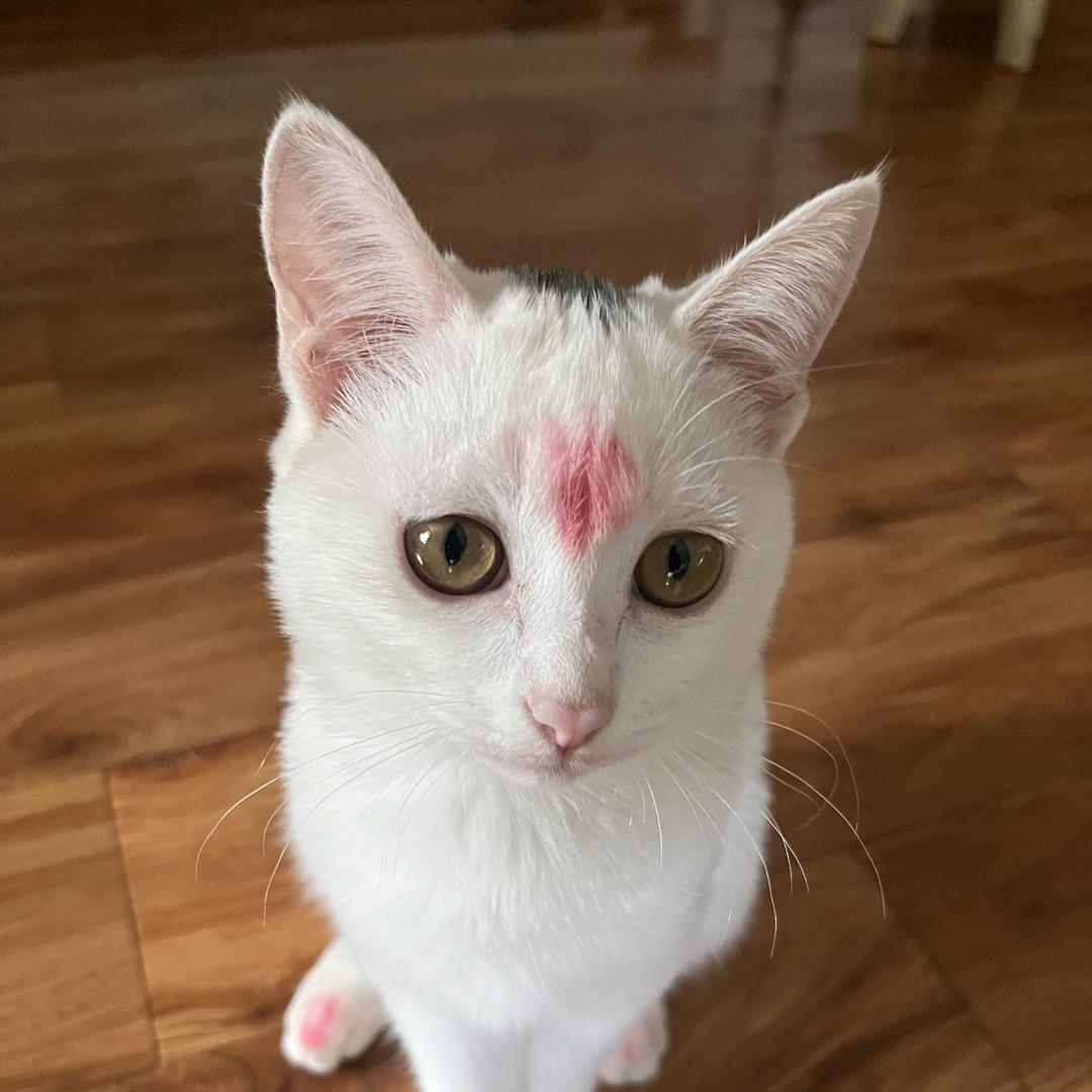 我们的总和