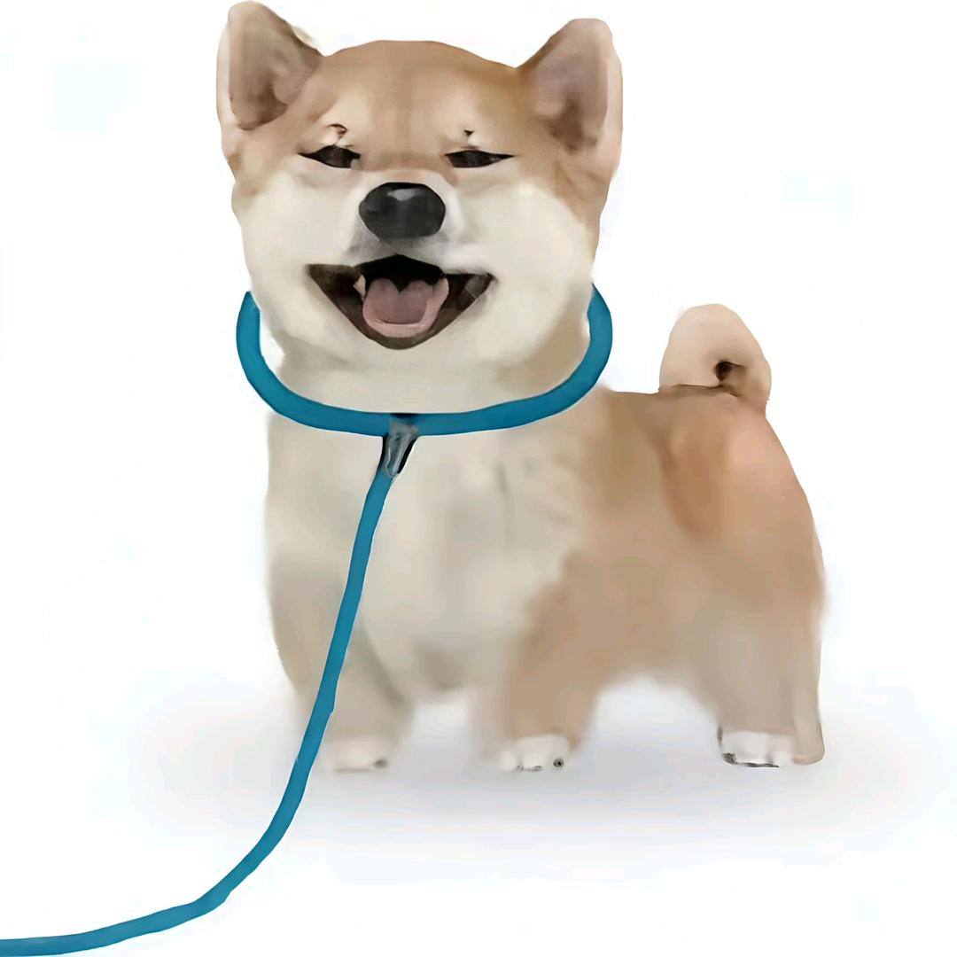 芒果桃胶西米露