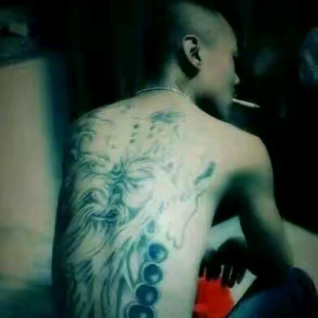 小黑宝