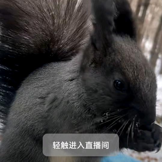 我要完美