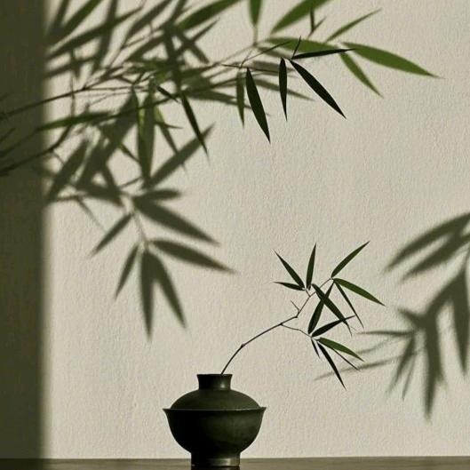 云水春生