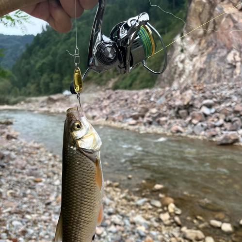 山东威海禧玛诺总仓