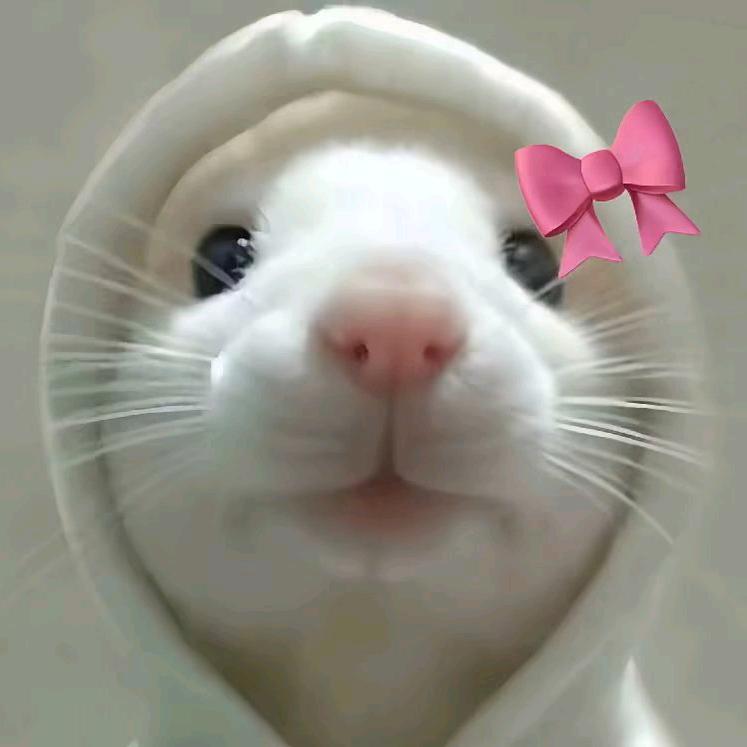 梅花鹿