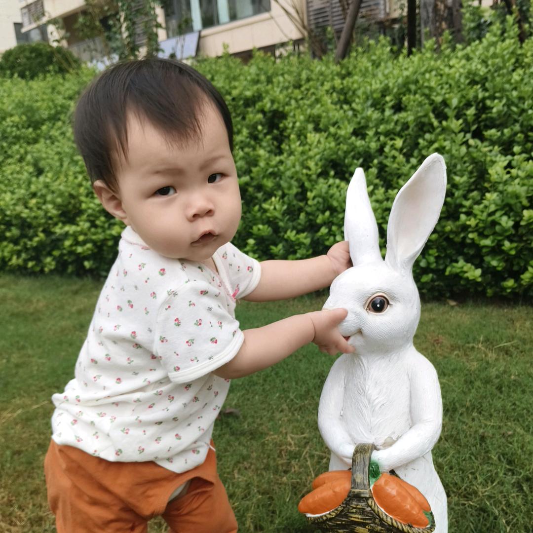 云淡风轻Z