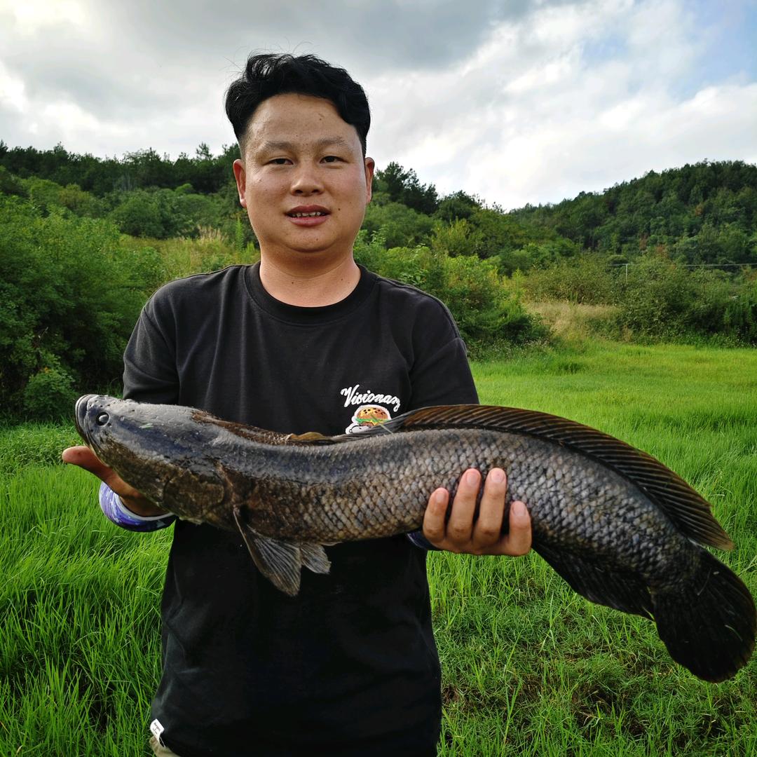 昆明燃气维修（依旧换新)