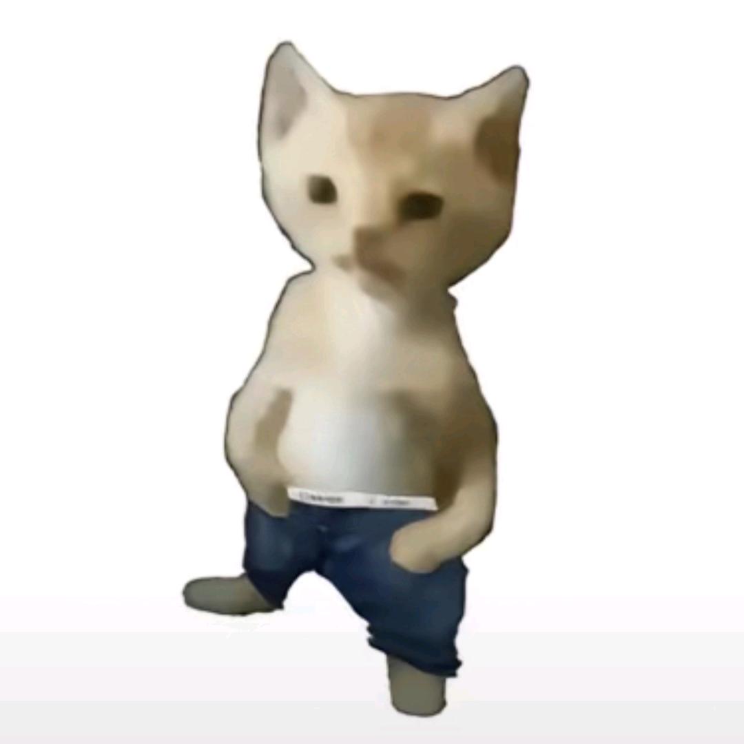 小猫猫龙