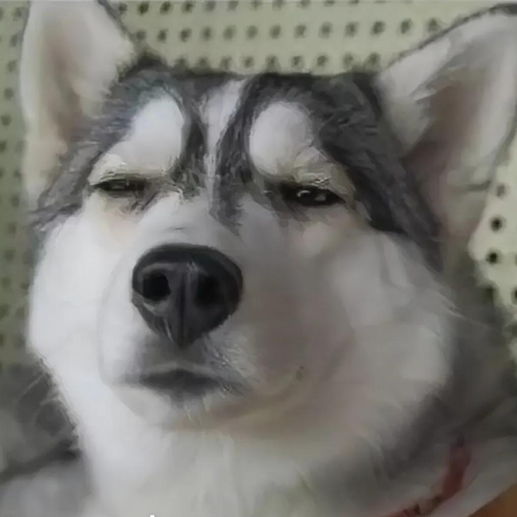 啊🐕糊涂