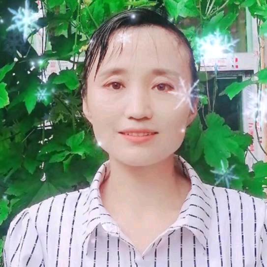 《容容》不定时开播