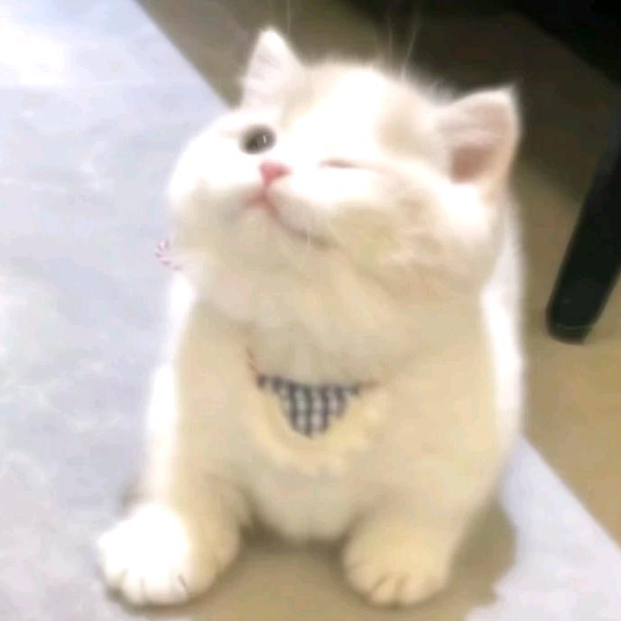 宝贝爱我一次？