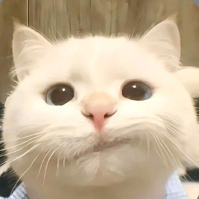 小林工作室