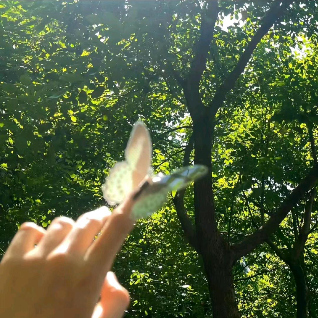 早睡早起身体好