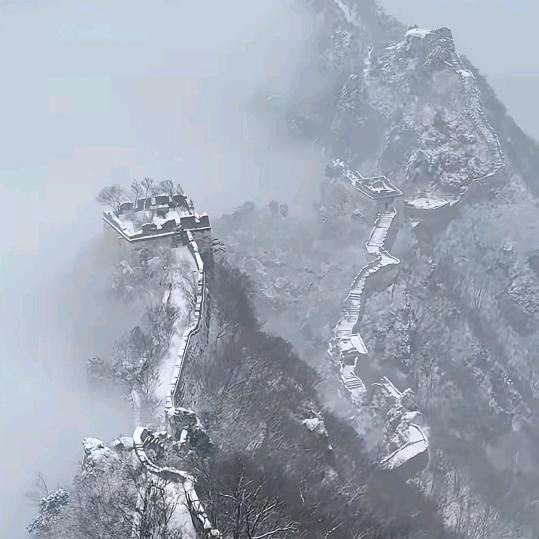 王菇凉✨✨