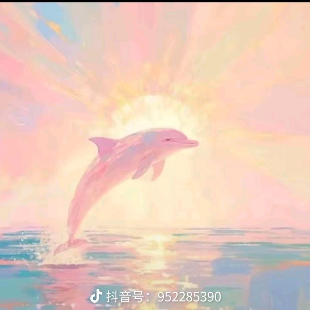 东南西北的西