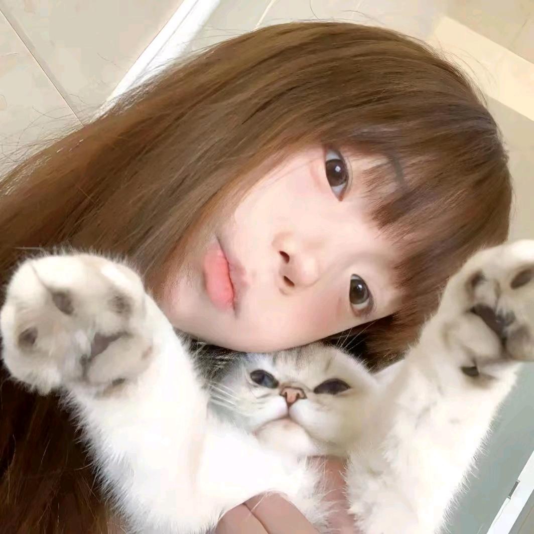 如愿.T