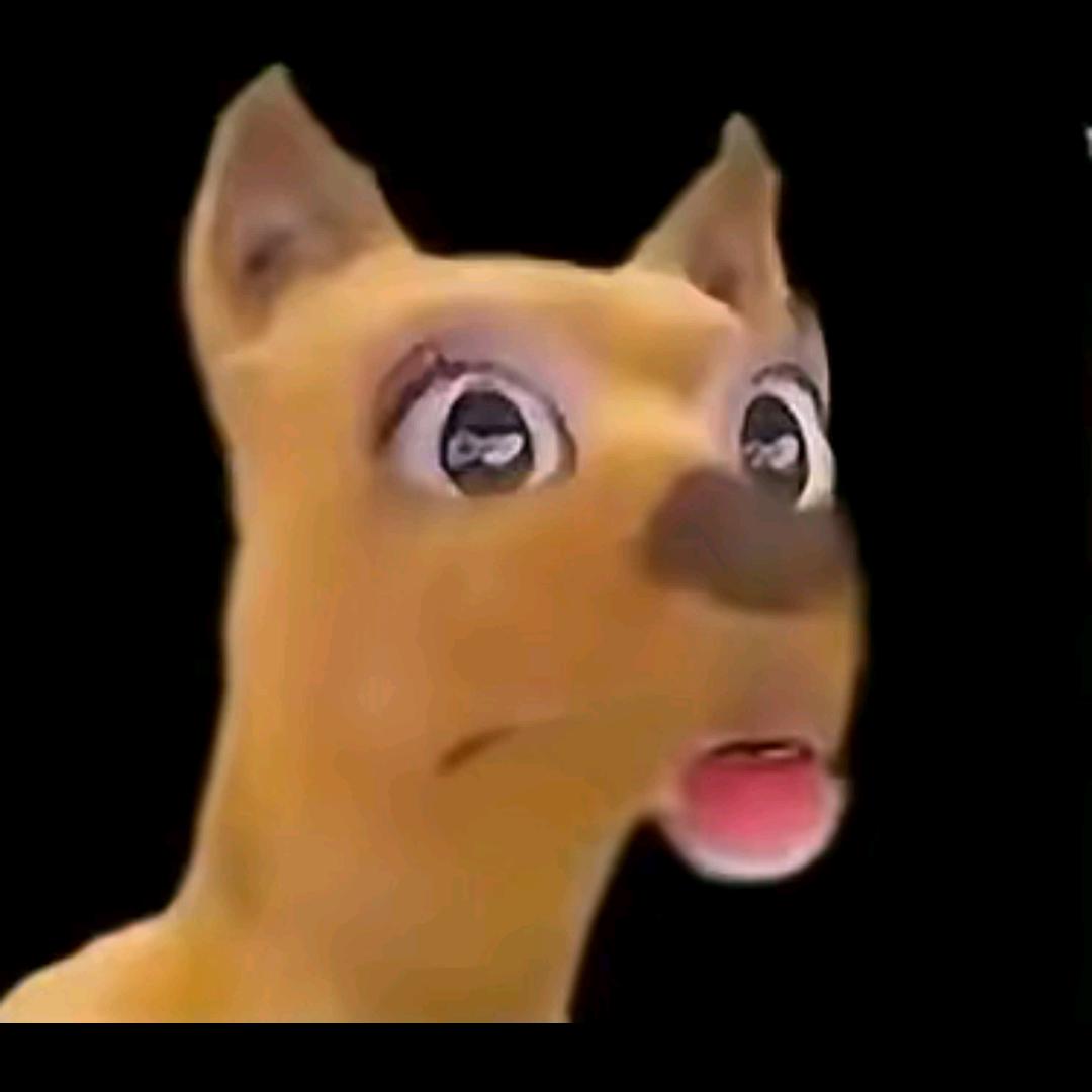 。，。，。，。，