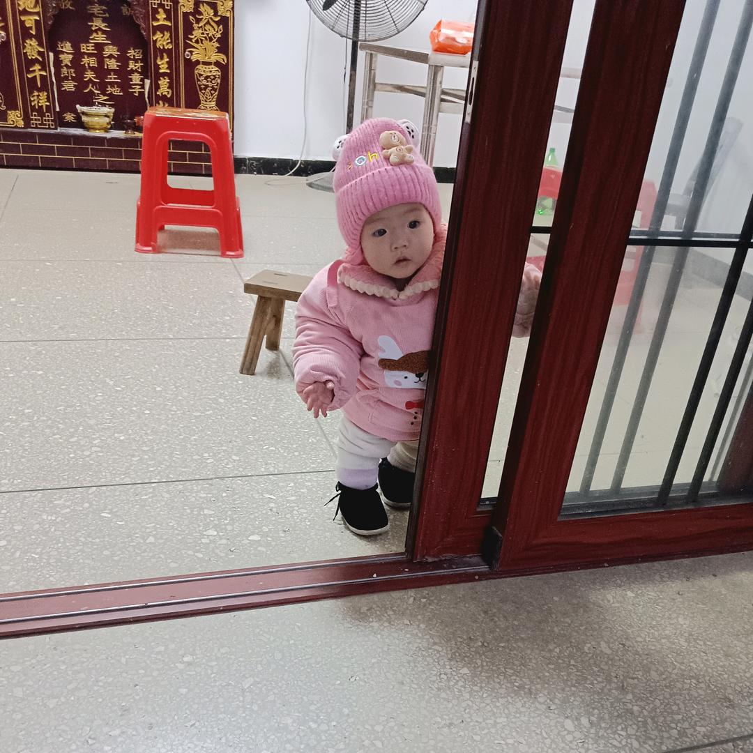 今天你喂猪了吗？