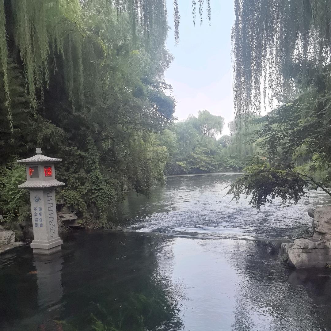 阳姐优选