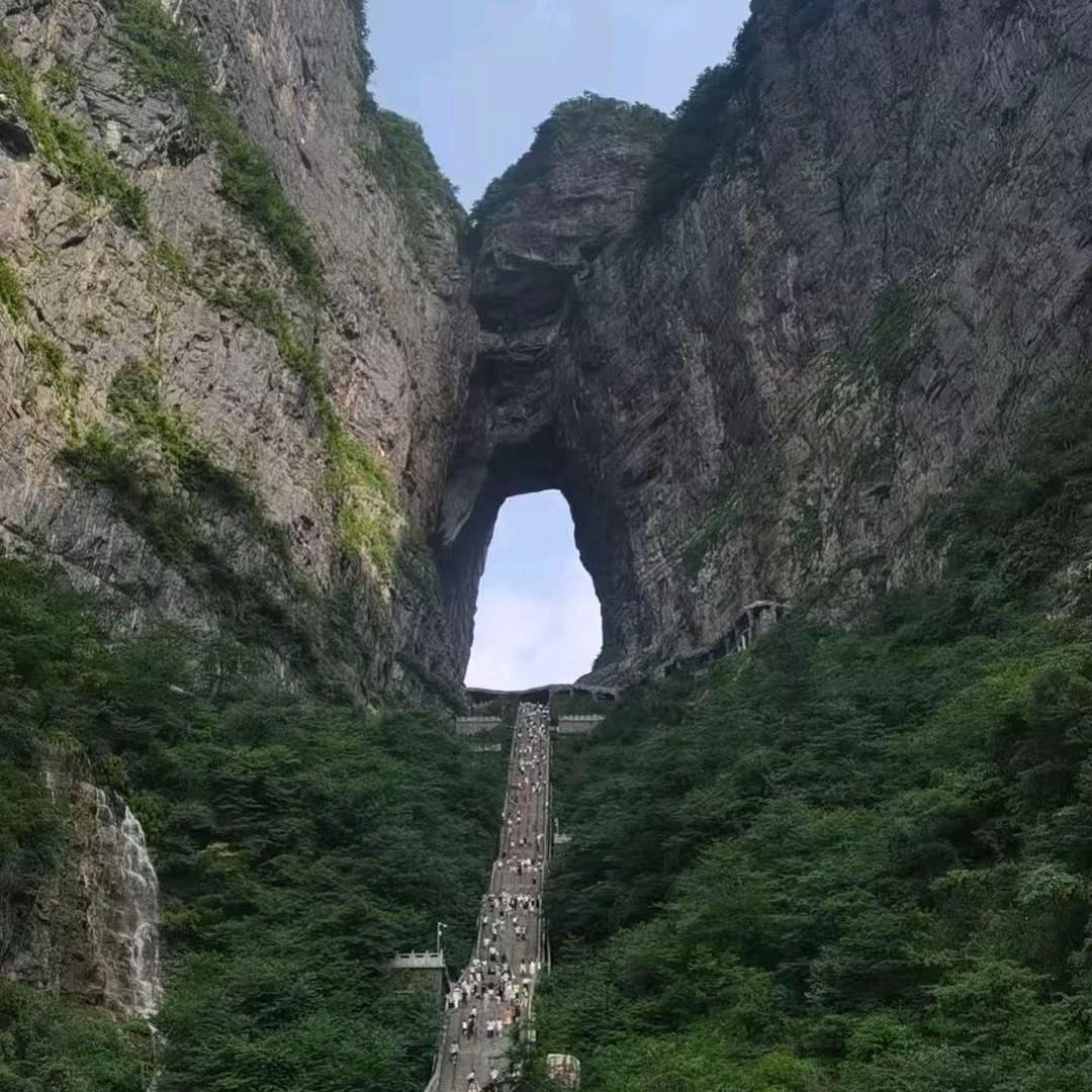 薛仁杰