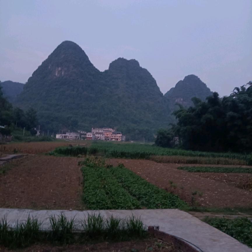 小妞妞
