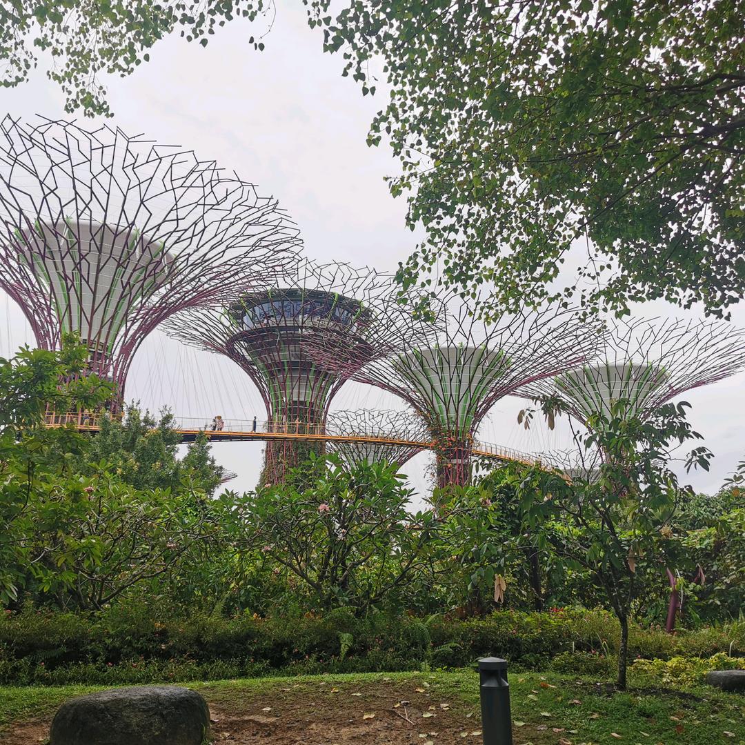 手机用户92096878404