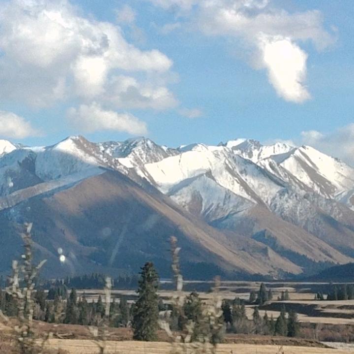 天下行！行天下！