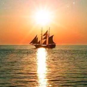 乘风破浪勇植前