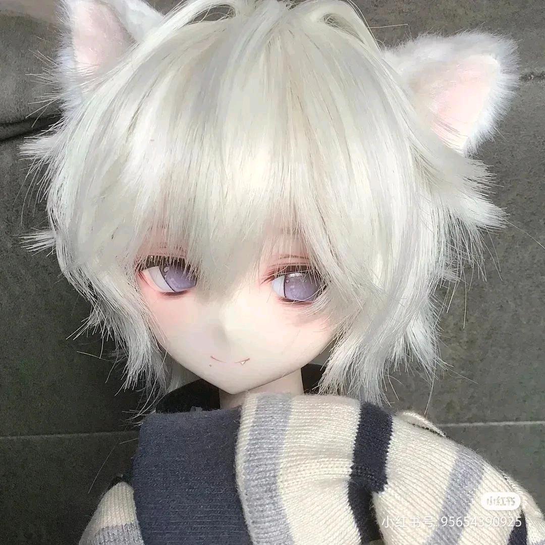 ❄️小嗷炫历子