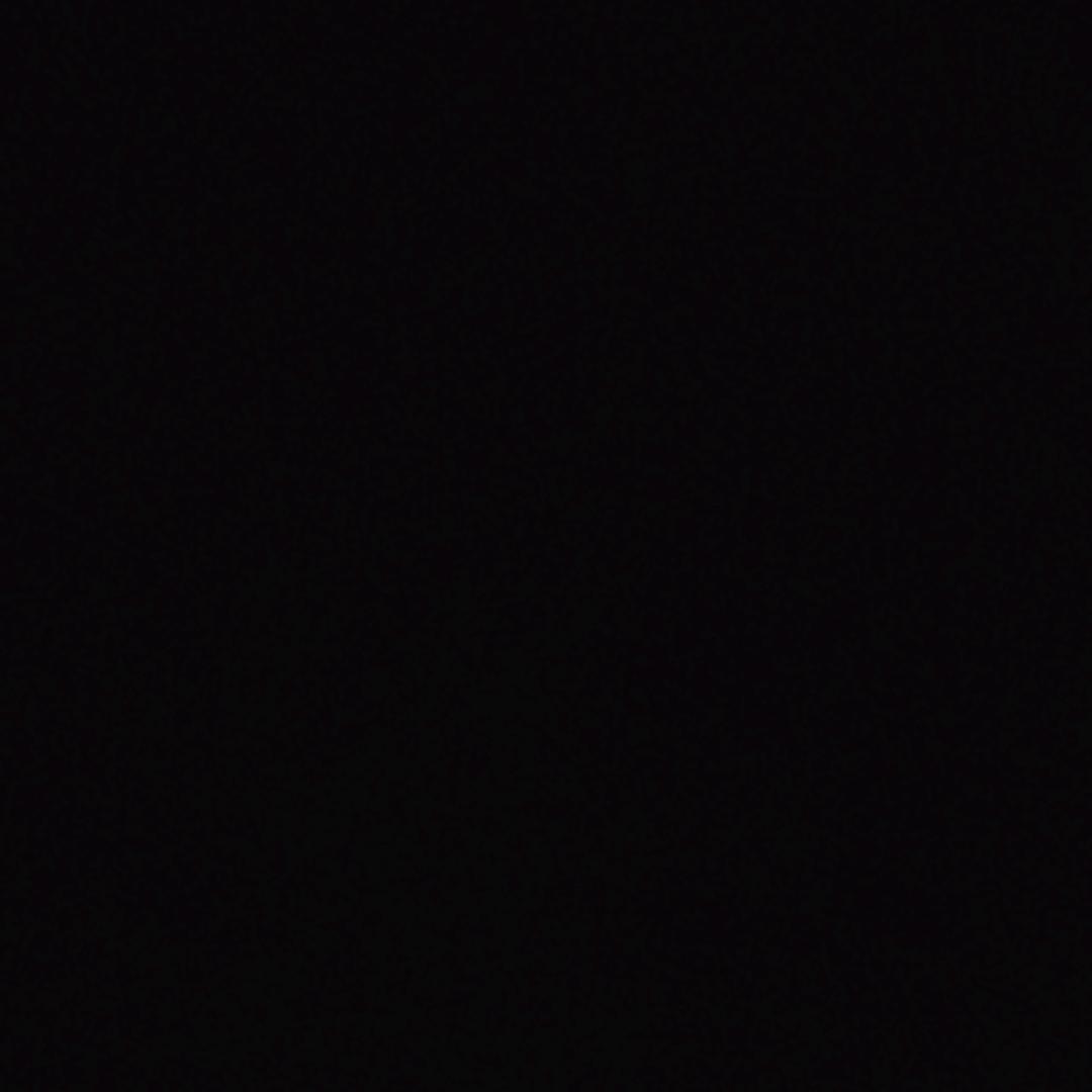 拾月qvq