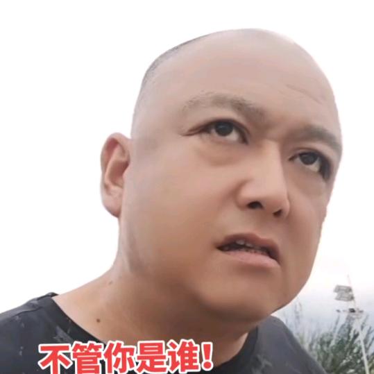 光头逍遥客