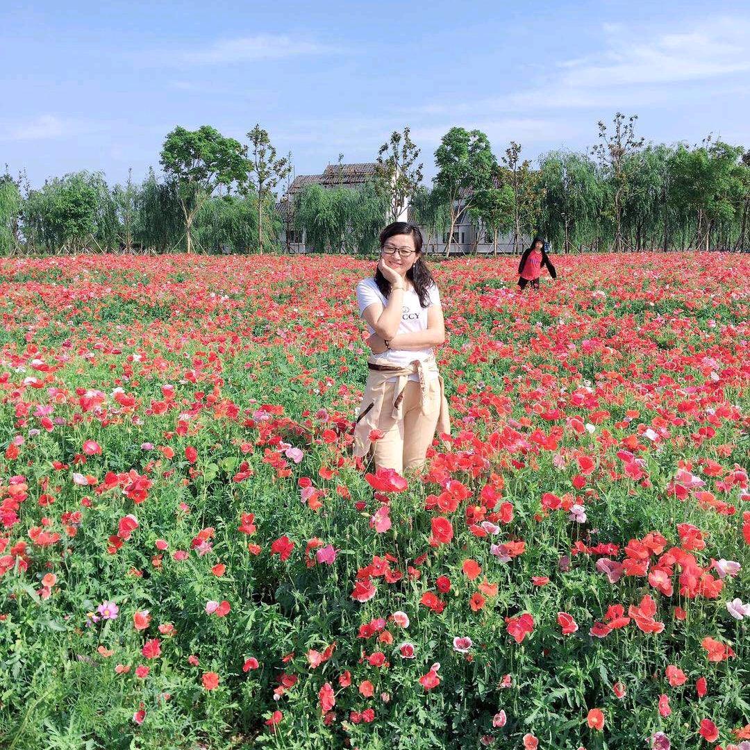 点石成金（荷花）
