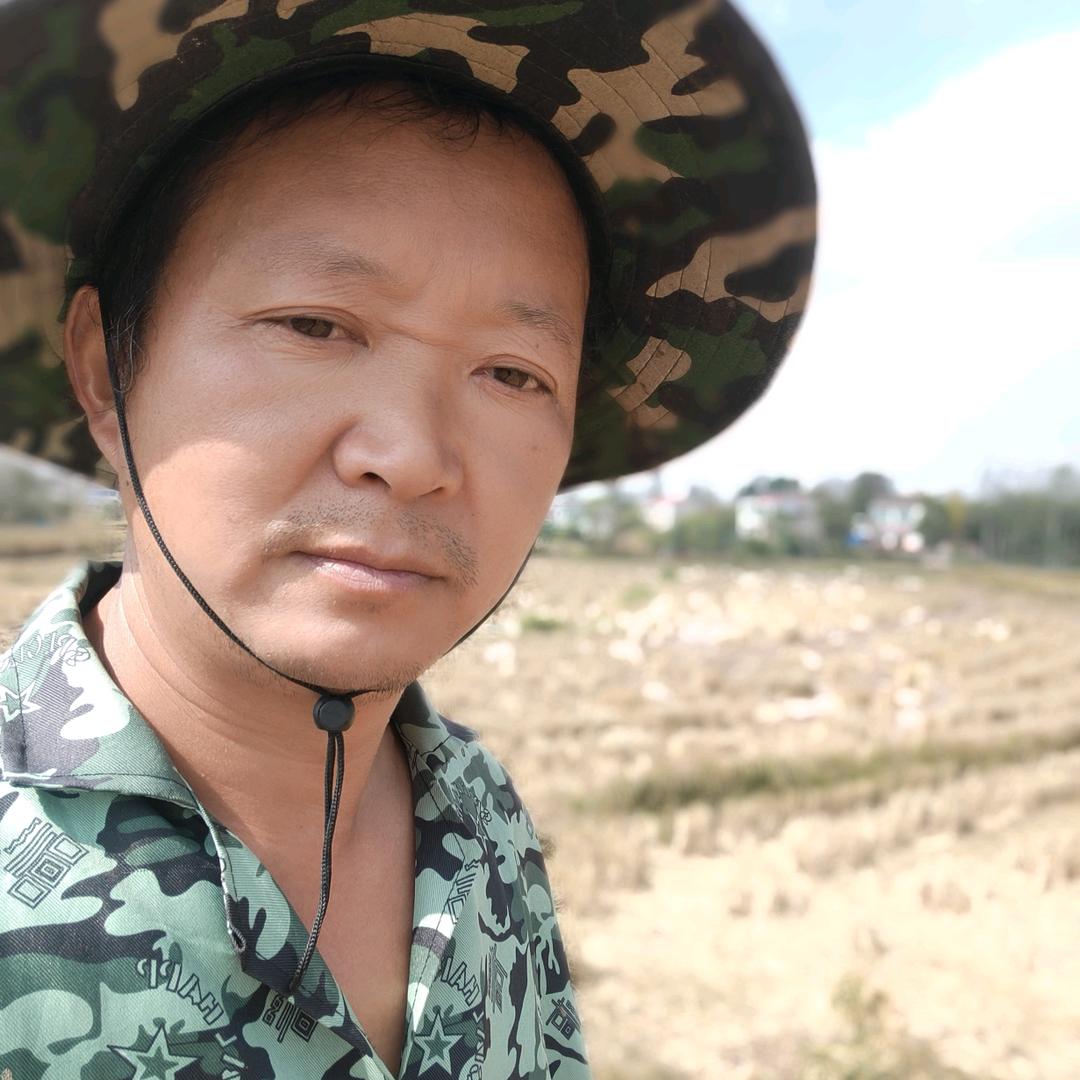 裕安区青山乡芳军家庭农场