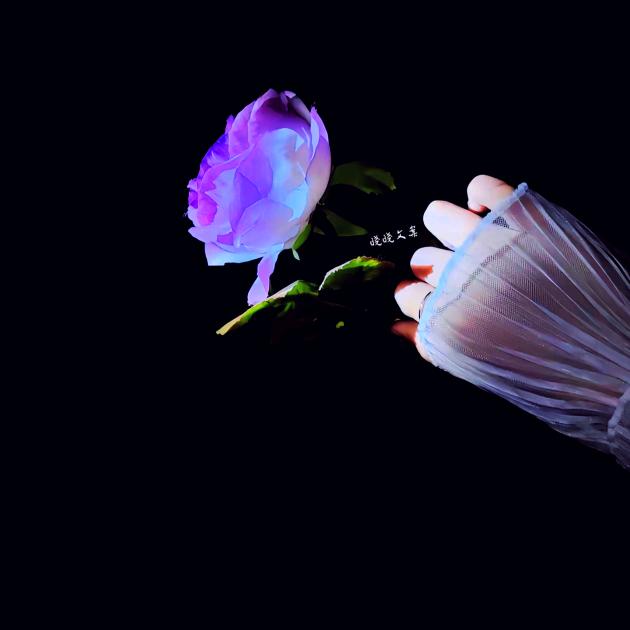 伤口在泪花中