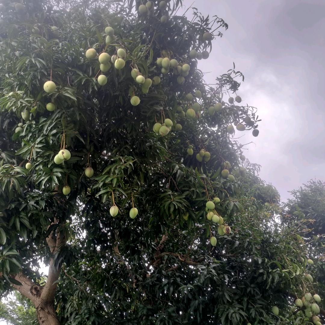 梦醒是梦