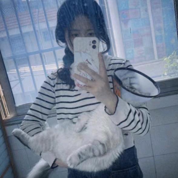 合肥看房杨小林