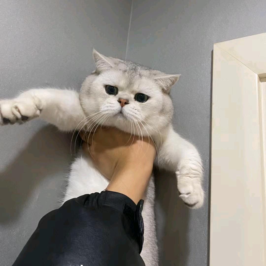 时间