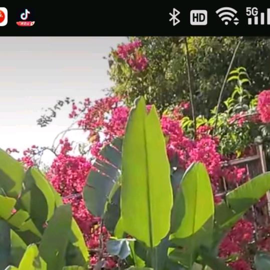 好人一生平安！！